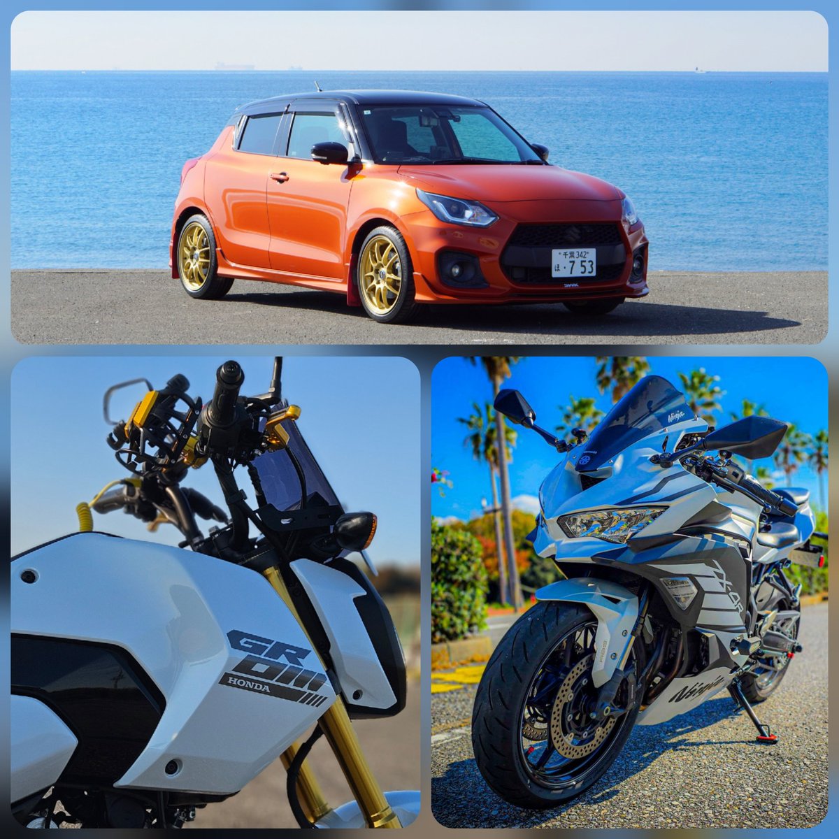 皆さまおはようございます😃 2025年も大晦日の水曜日。☀️で13℃予報の