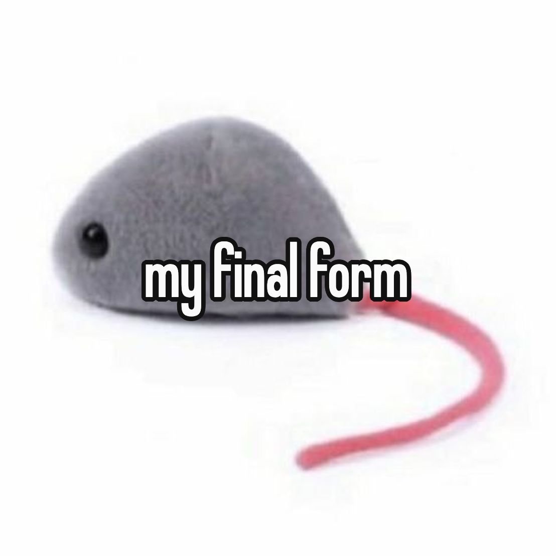 brainrot dimension (@brainrotpostig) on Twitter photo 