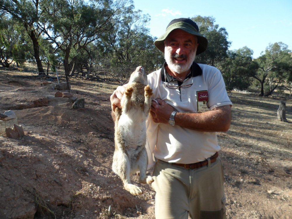 esparverblau's tweet image. Els conflictes de la fauna amb l’agricultura, ramaderia i béns humans es poden mitigar amb ciència aplicada. Aquí una estada amb els investigadors i rangers de Biosecurity a S.Austràlia: ciència i pràctica. Vam aprendre molt. Qui finançava la recerca era el sector ramader.