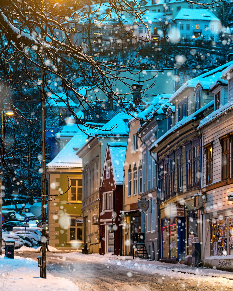 StieglerThomas's tweet image. Europa zur Nacht ...

#Norwegen