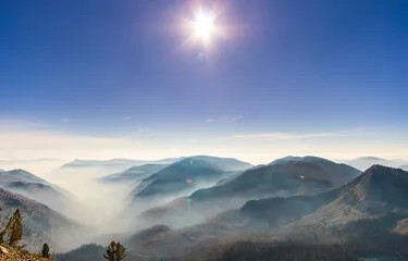 Evergreen Foundation tweet media