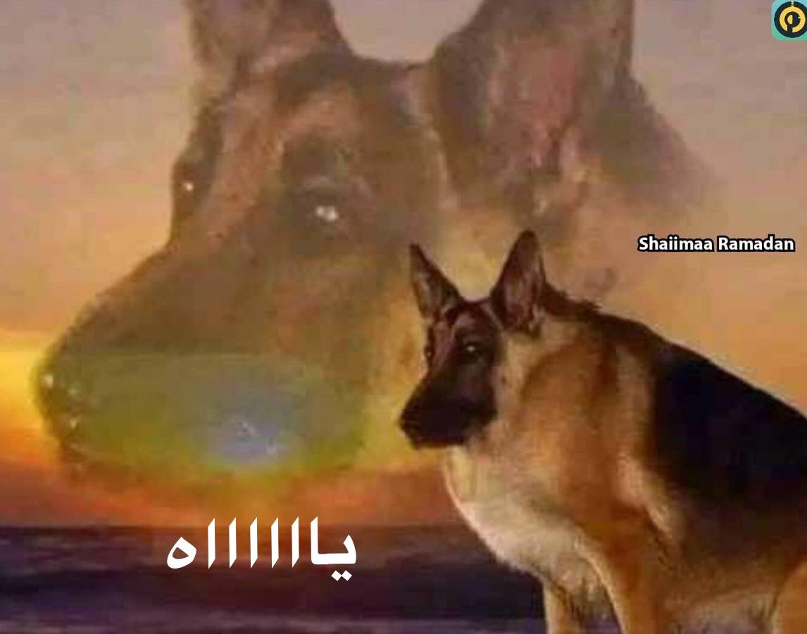 الناس تجيهم لحظة ادراك بعد الموقف علطول
انا ورؤوف بعد سنة