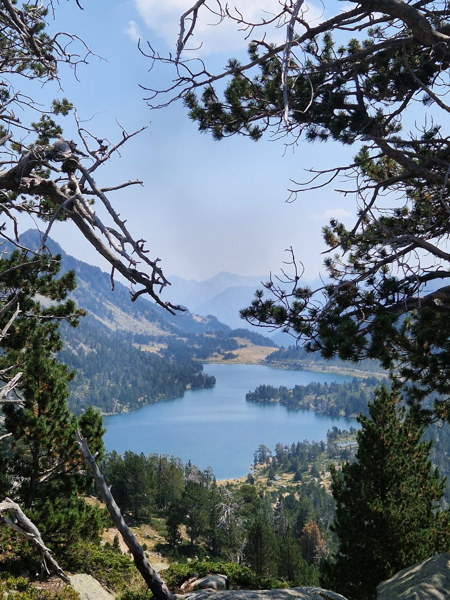 Arnaud Lancon tweet media