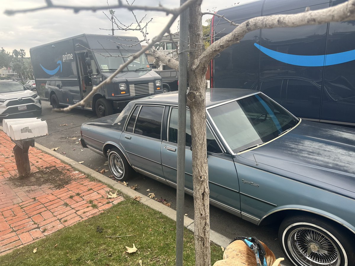 Say No To Trading tweet media