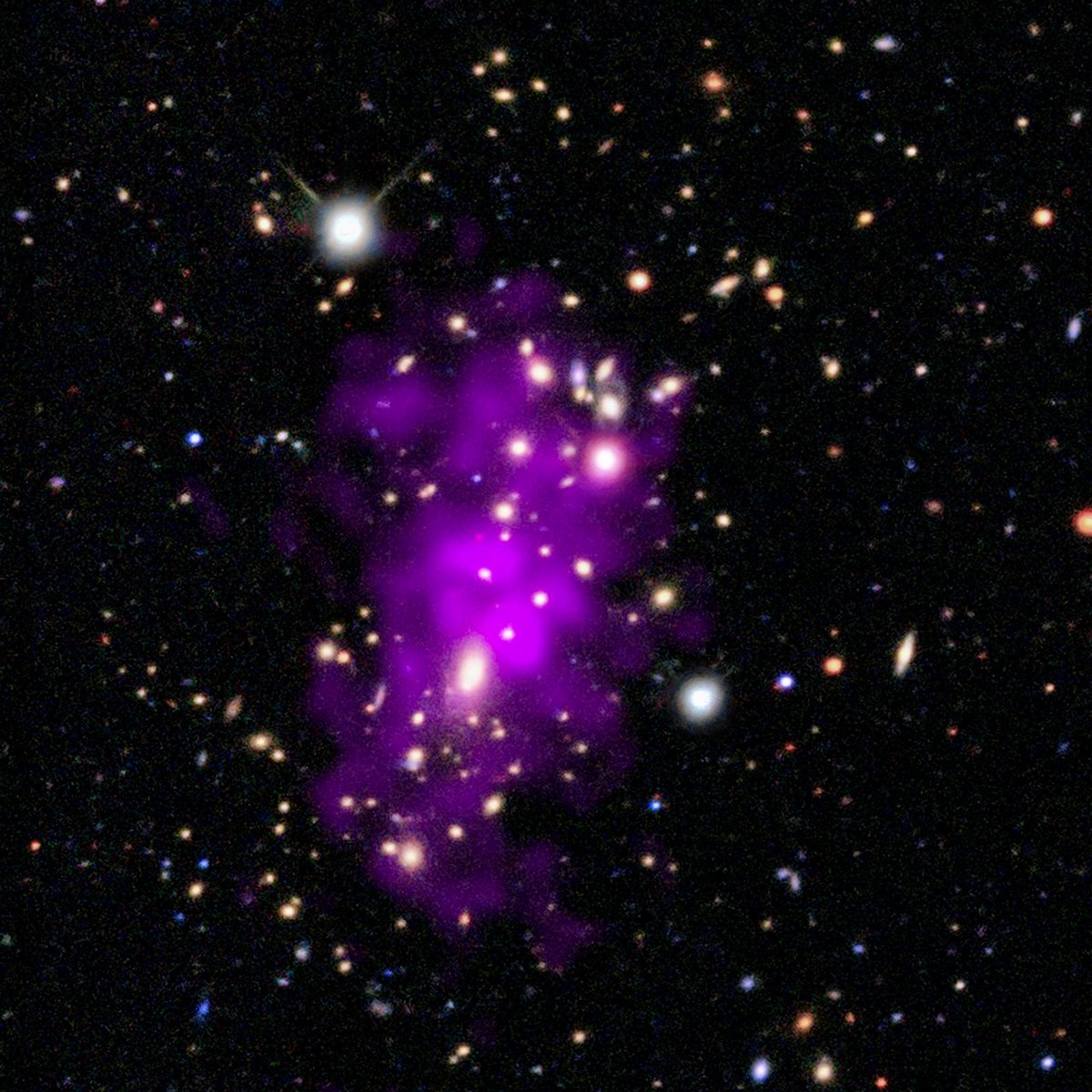 Astronomers discovered these two clusters of sparkling light clinking together on New Year's Eve, 2020. Inspired by the date and the bubbly imagery, they nicknamed the galaxy cluster the Champagne Cluster — much easier to remember than its official name: RM J130558.9+263048.4.🍾