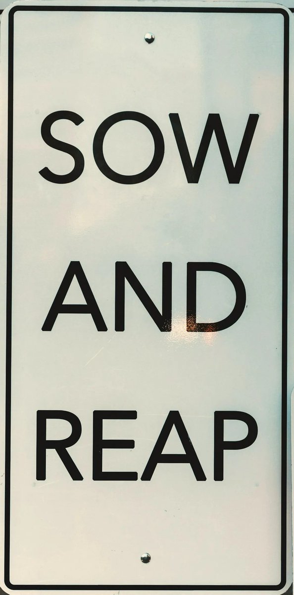 Evergreen Foundation tweet media