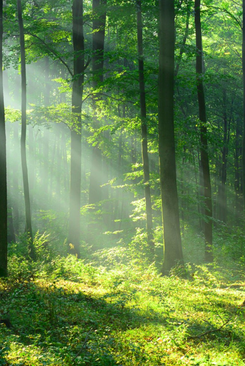 BeyeRuby's tweet image. 家族は短いです 🏗️