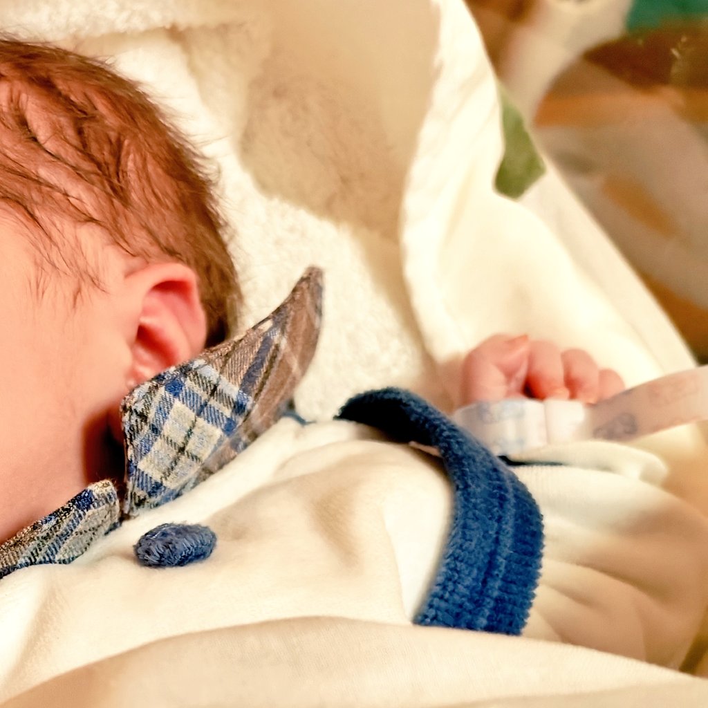 Federica tweet media