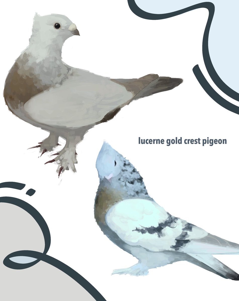 wildaether 🤍🎐 tweet media