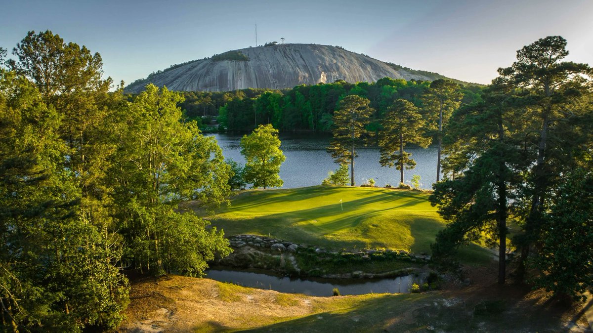 Dr. Obi Atkinson tweet media