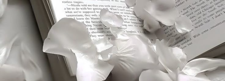 dydy ๋࣭ ⭑ tweet media