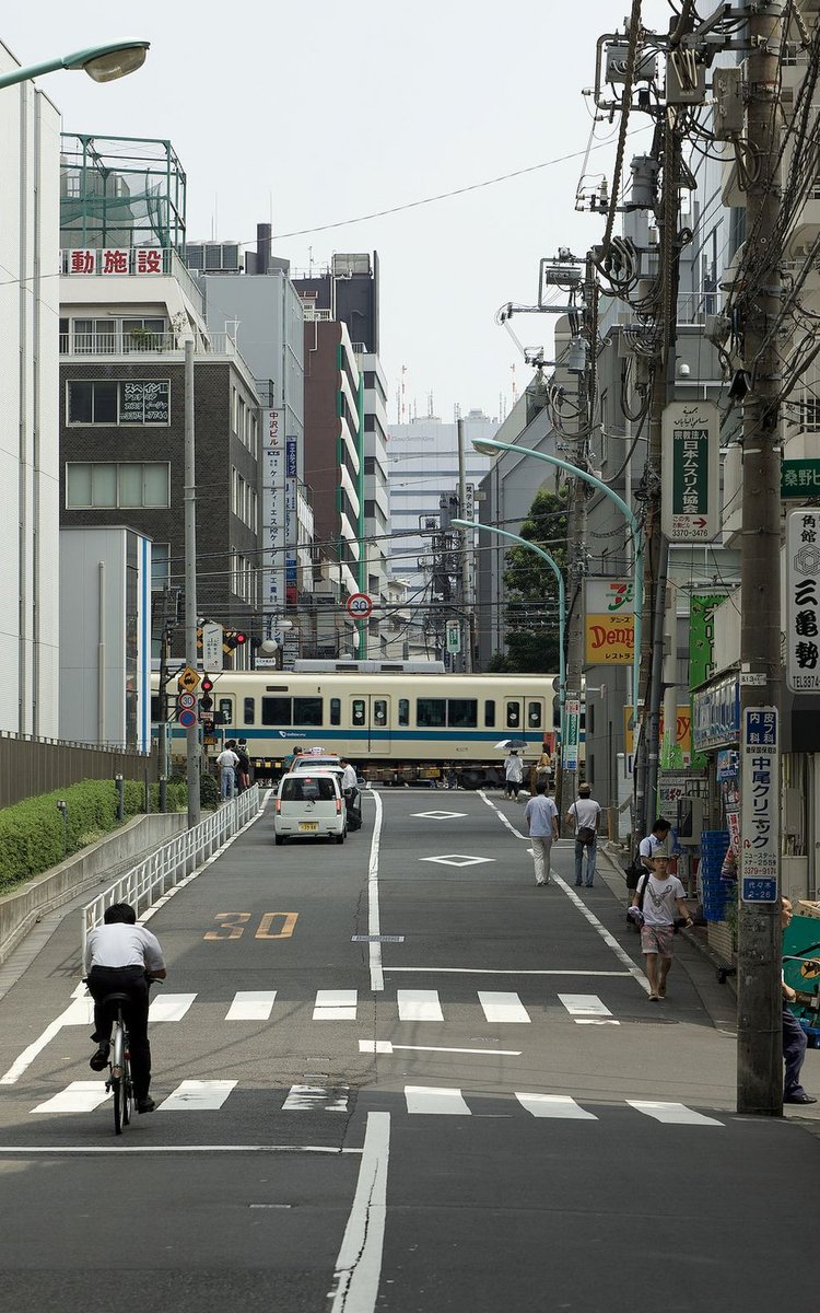 Croquerius's tweet image. 今が早い 🌬️