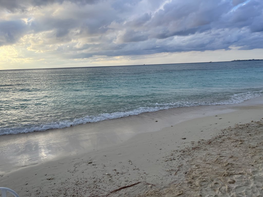 Theo Gremminger tweet media