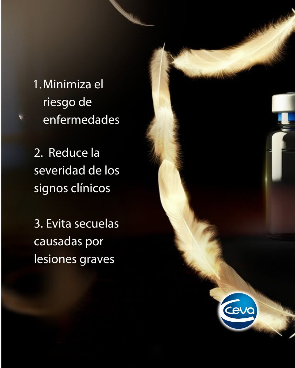 Red Alimentaria tweet media