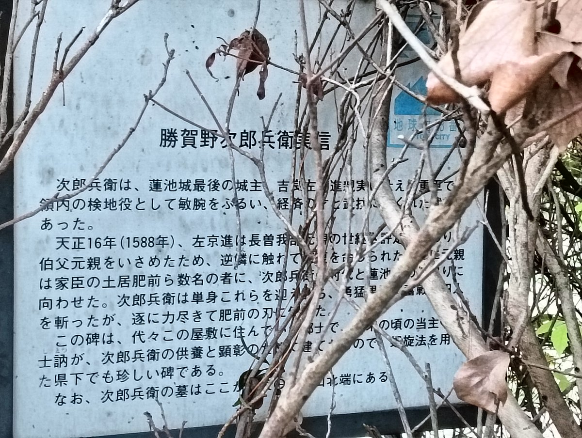 ちえぞー (@owari_chiezo) / Posts / X