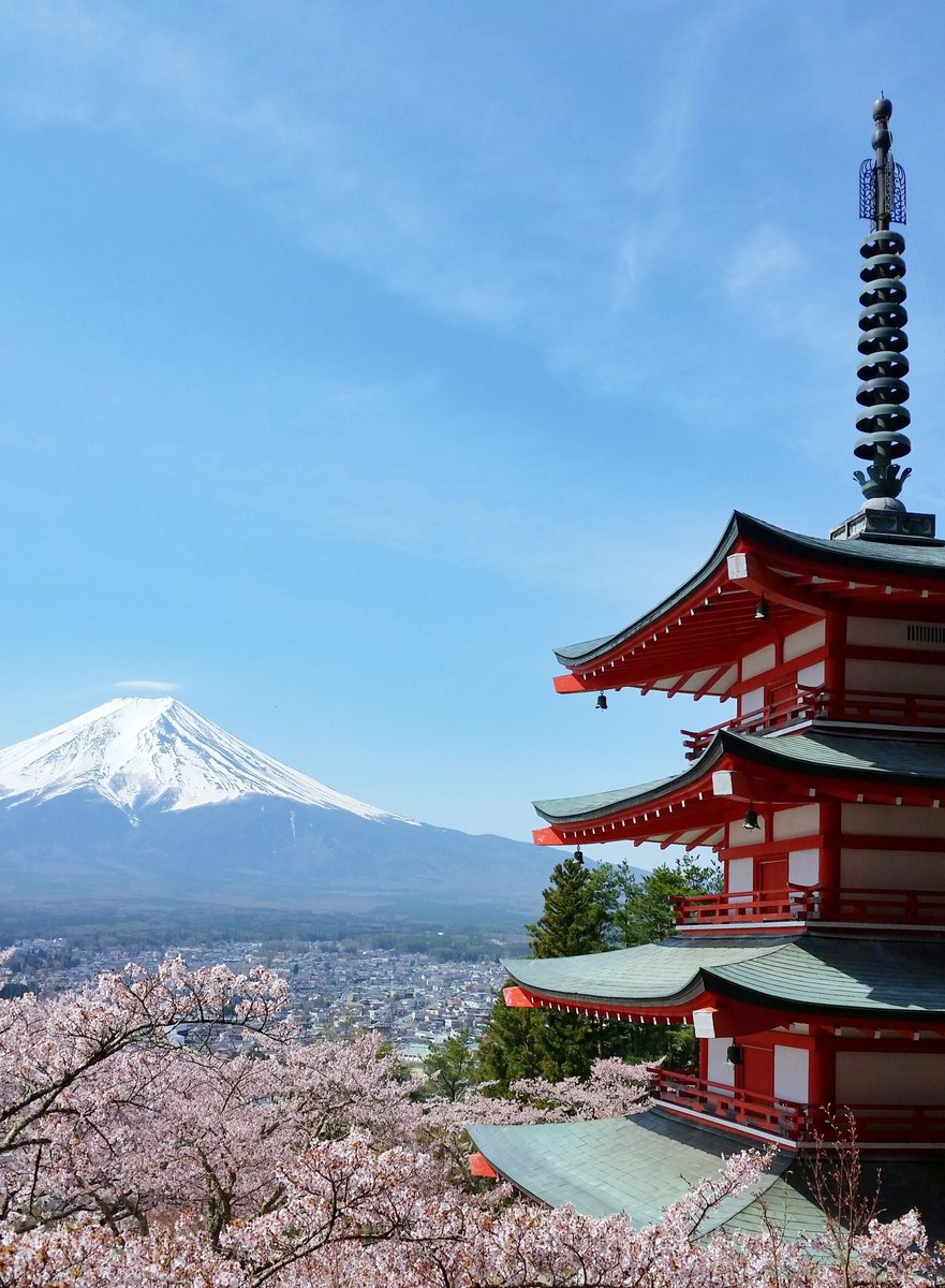 dorkpudding's tweet image. 手は易しいです 👩‍👦‍👦