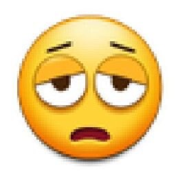 ELLɅ MɅCHINɅ tweet media