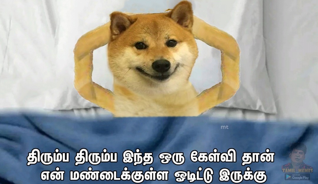 இவ்வளவு சலுகை குடுத்தும் படிக்காம கஞ்சா கத்தின்னு சுத்துர இவனுங்கல எதுக்கு ரெண்டாயிரம் வருசமா படிக்க விடாம தடுத்தானுங்க