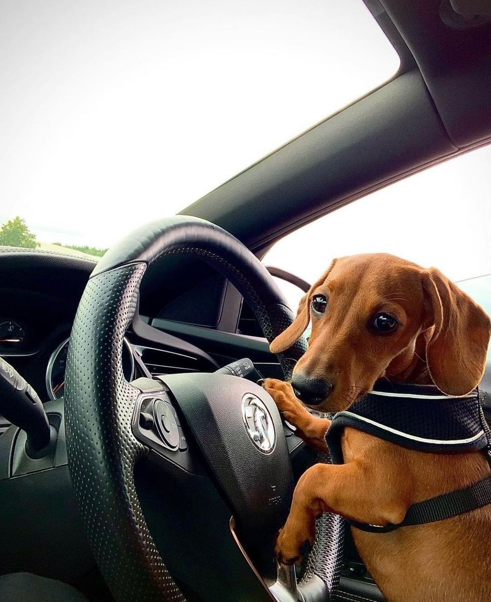 O seu motorista chegou, image size:979x1200