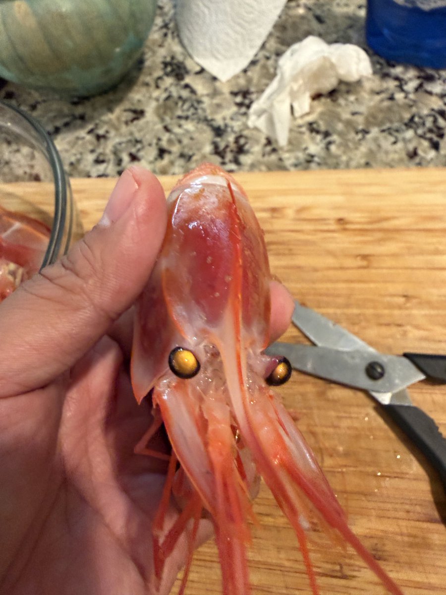 大老王 tweet media