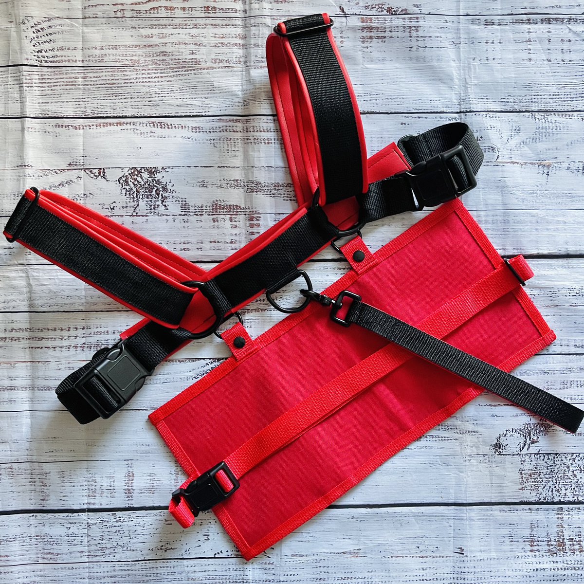 PinkGatorPress ✨ tweet media