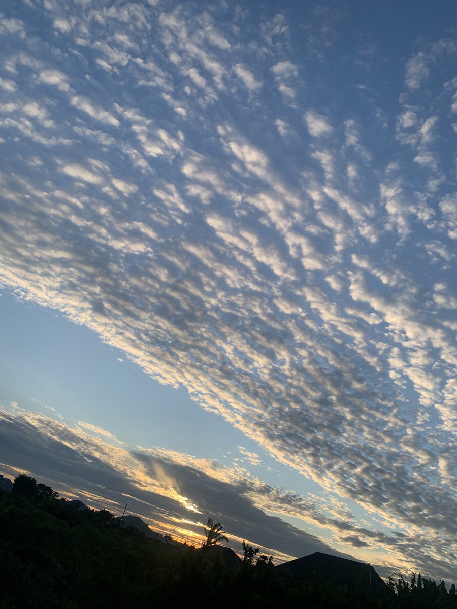 My best shot this year✨❤️
Drop yours below
#wrapped2025