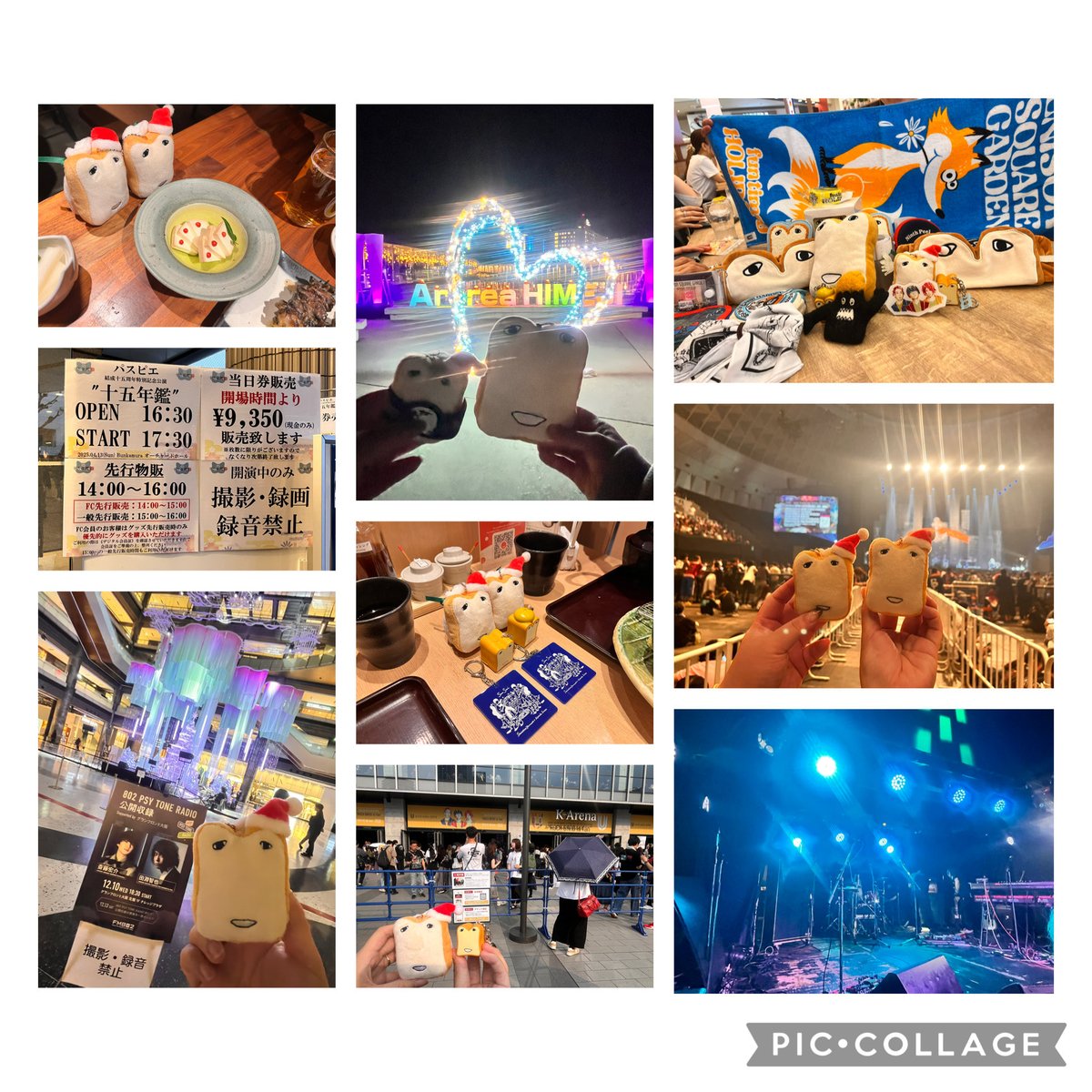 2025年のライブ納め、今年はちょっと多めに沢山のライブに行って沢山の人と知りあって楽しかったです☺️
来年から新しいこと始める分ちょっと行く回数、少なくなるかもしれないけど好きなこと続けられるように💪2026年も良い年に！！