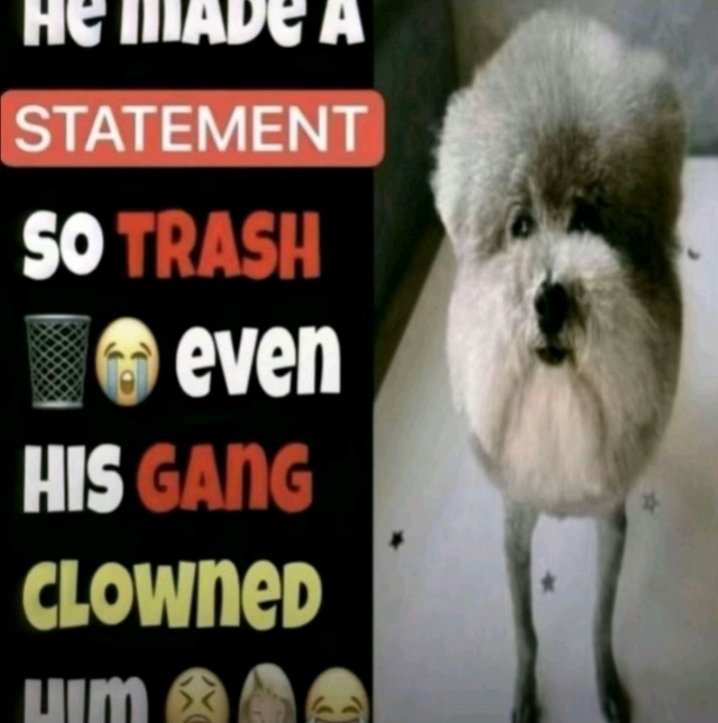 macestomaces's tweet image. How it feels to post anything ever