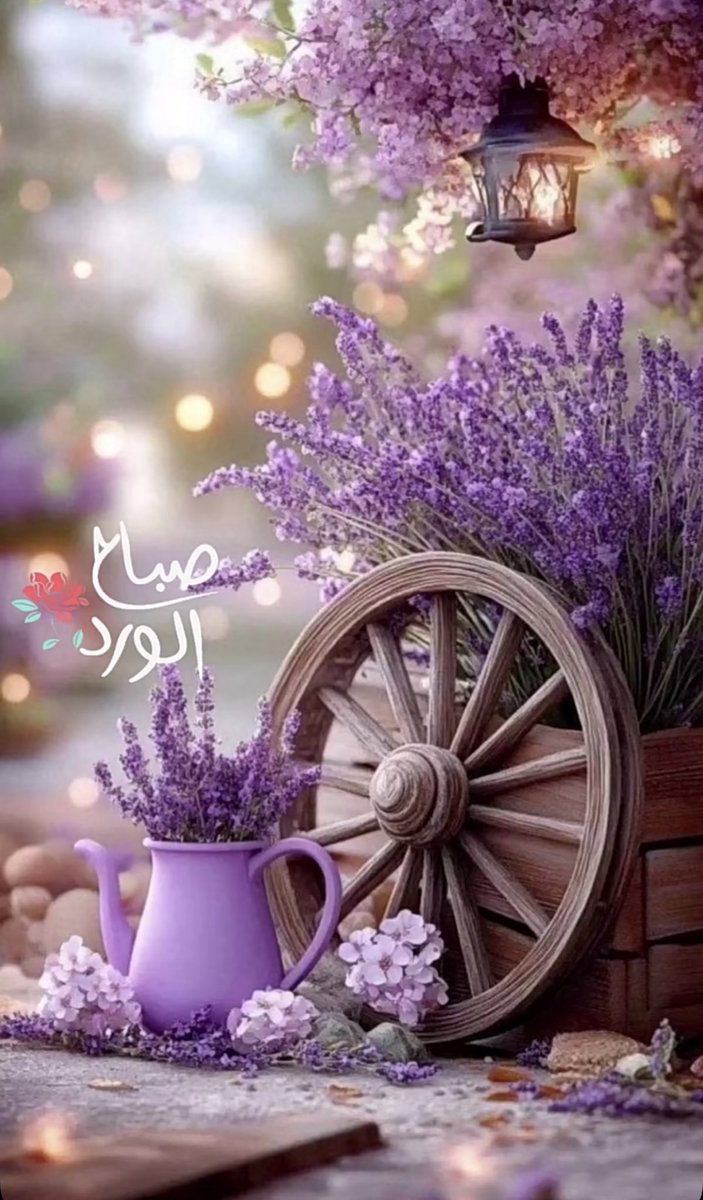 صبحتوا…..🕊💜