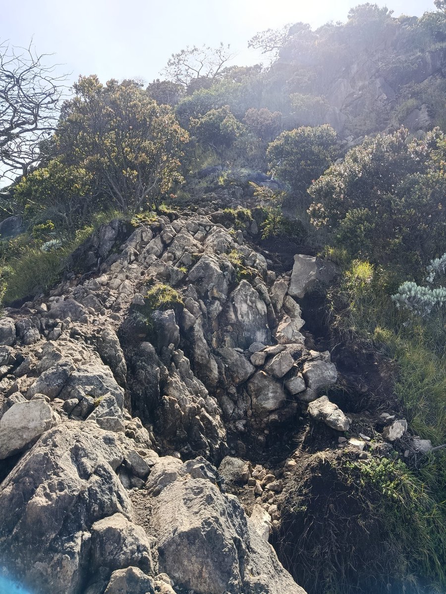 wadehelll tweet media