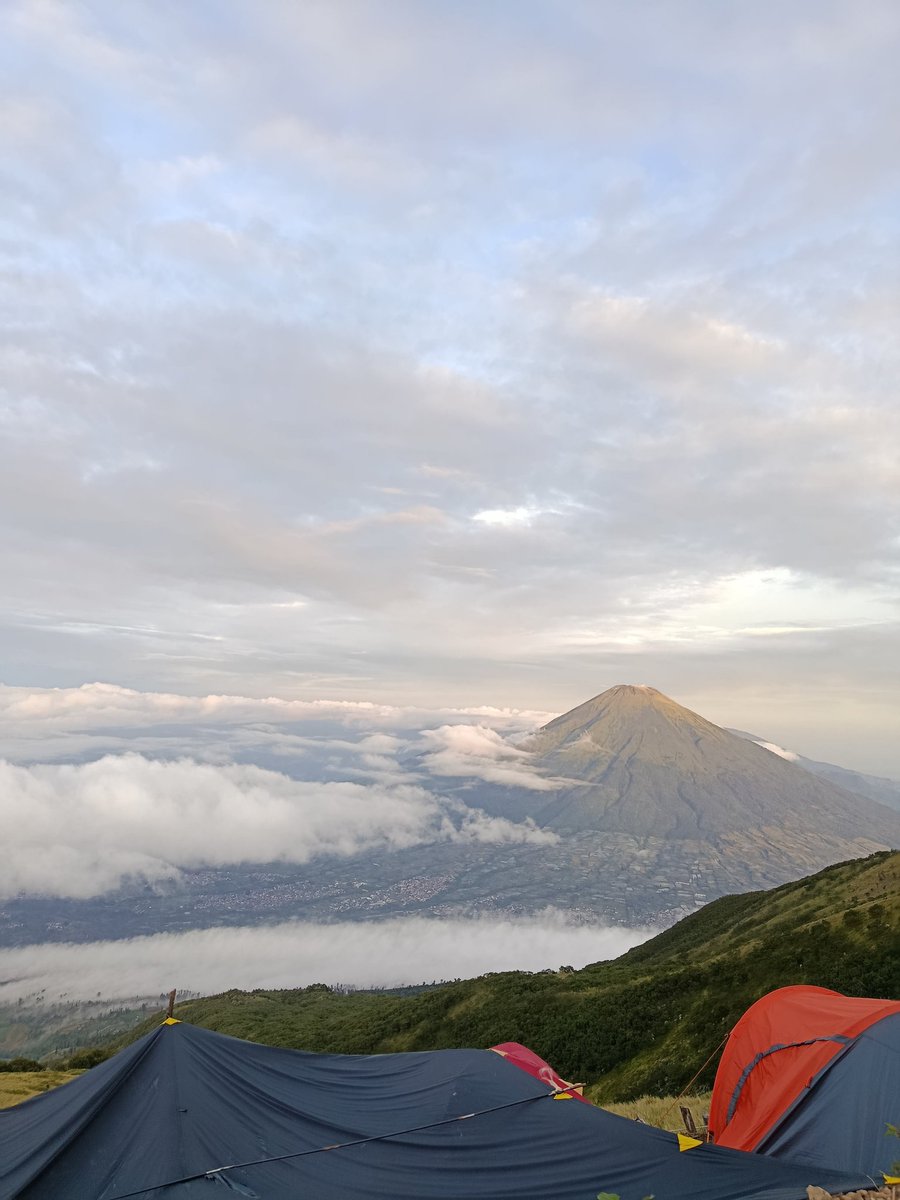 wadehelll tweet media