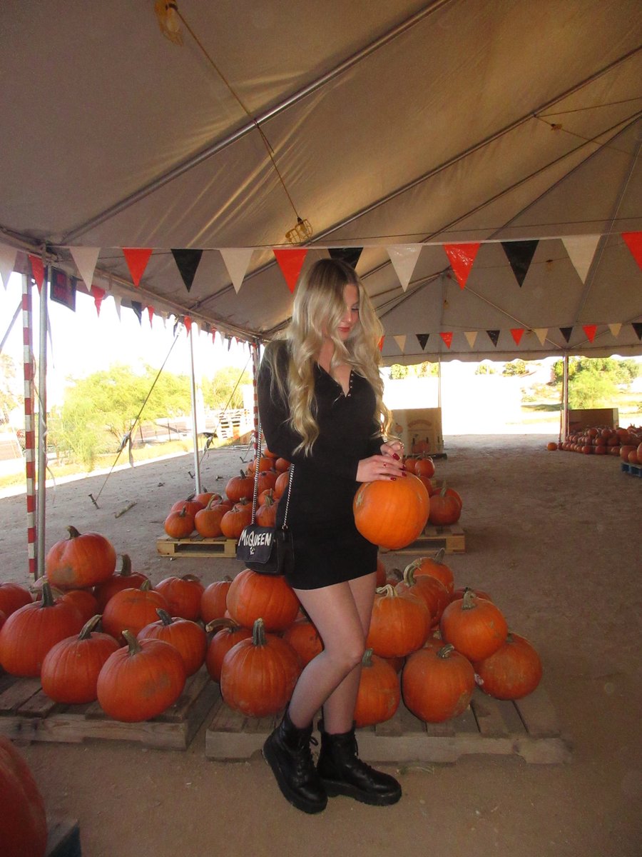 ryleeemichelle's tweet photo. Octoburrr https://t.co/lcetwa2jPh