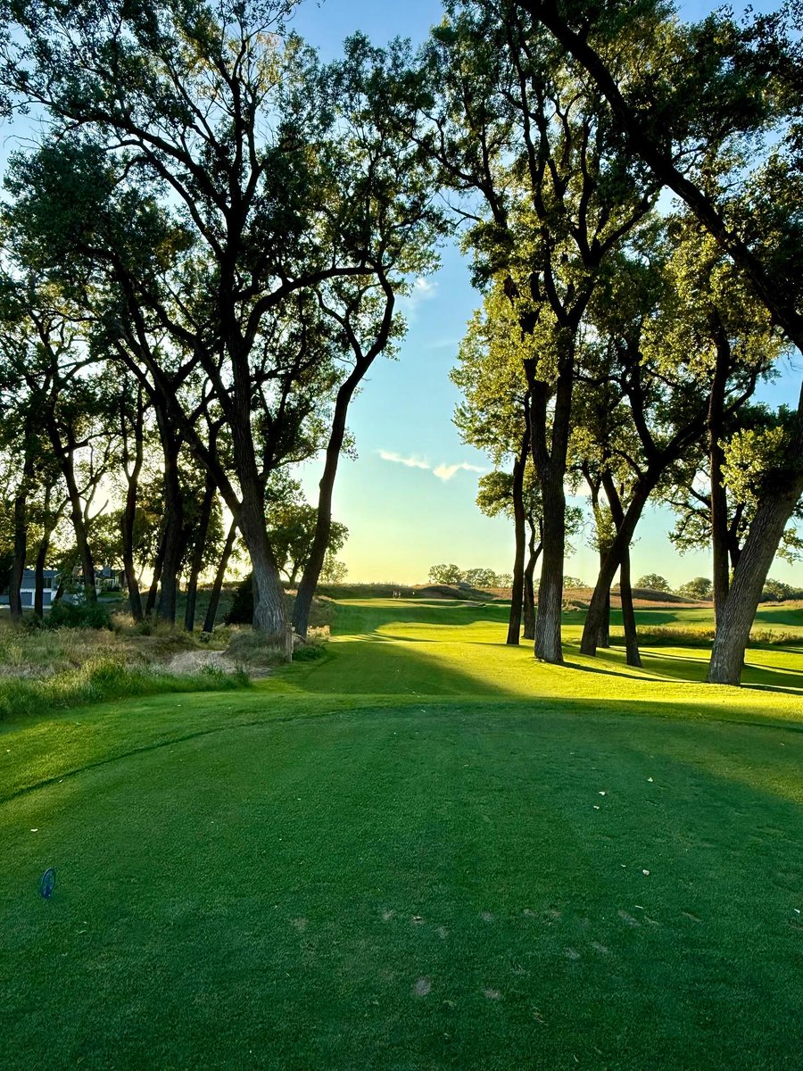 Firm Stroke Golf tweet media