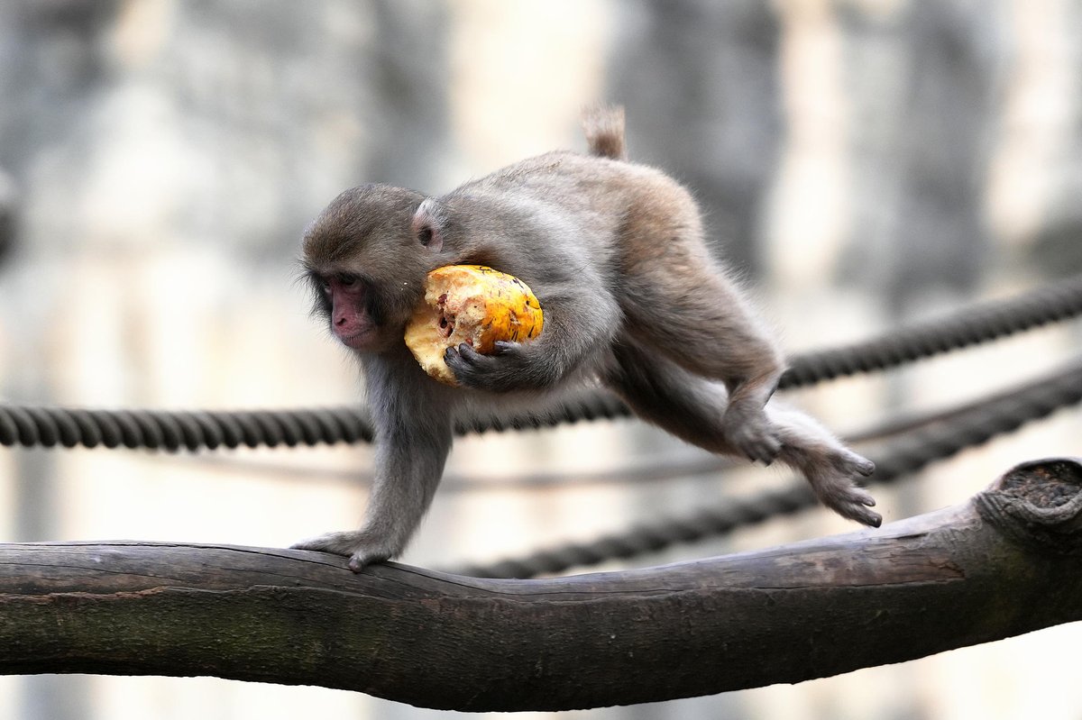 さっちゃん様(。uωu)♪❤️お纏め発送総数25点 さちゃん | PACHINKO・SLOT でちゃう！PLUS