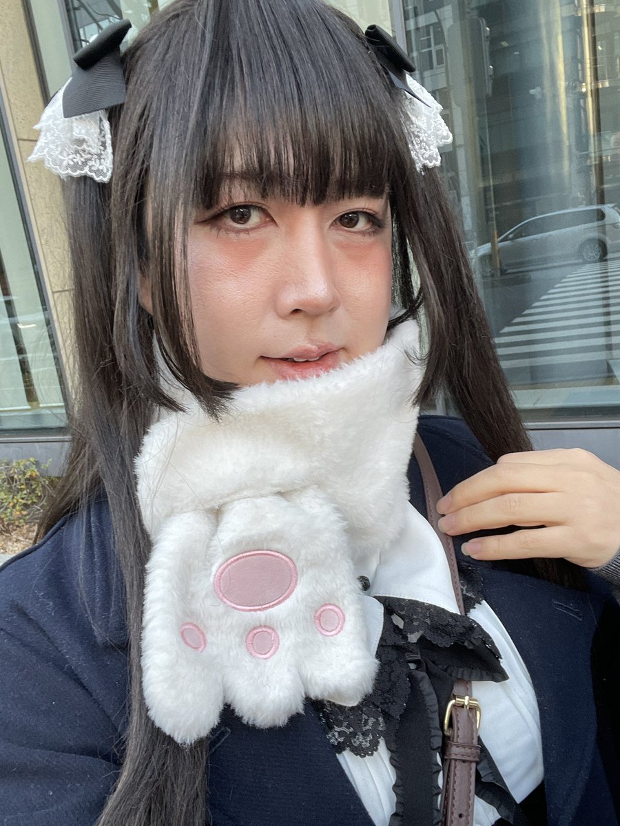 にゃこステ(ΦωΦ)です S.A.F.S.操縦システム「にゃふす」NYA.F.S | tonerico：tokyo ho