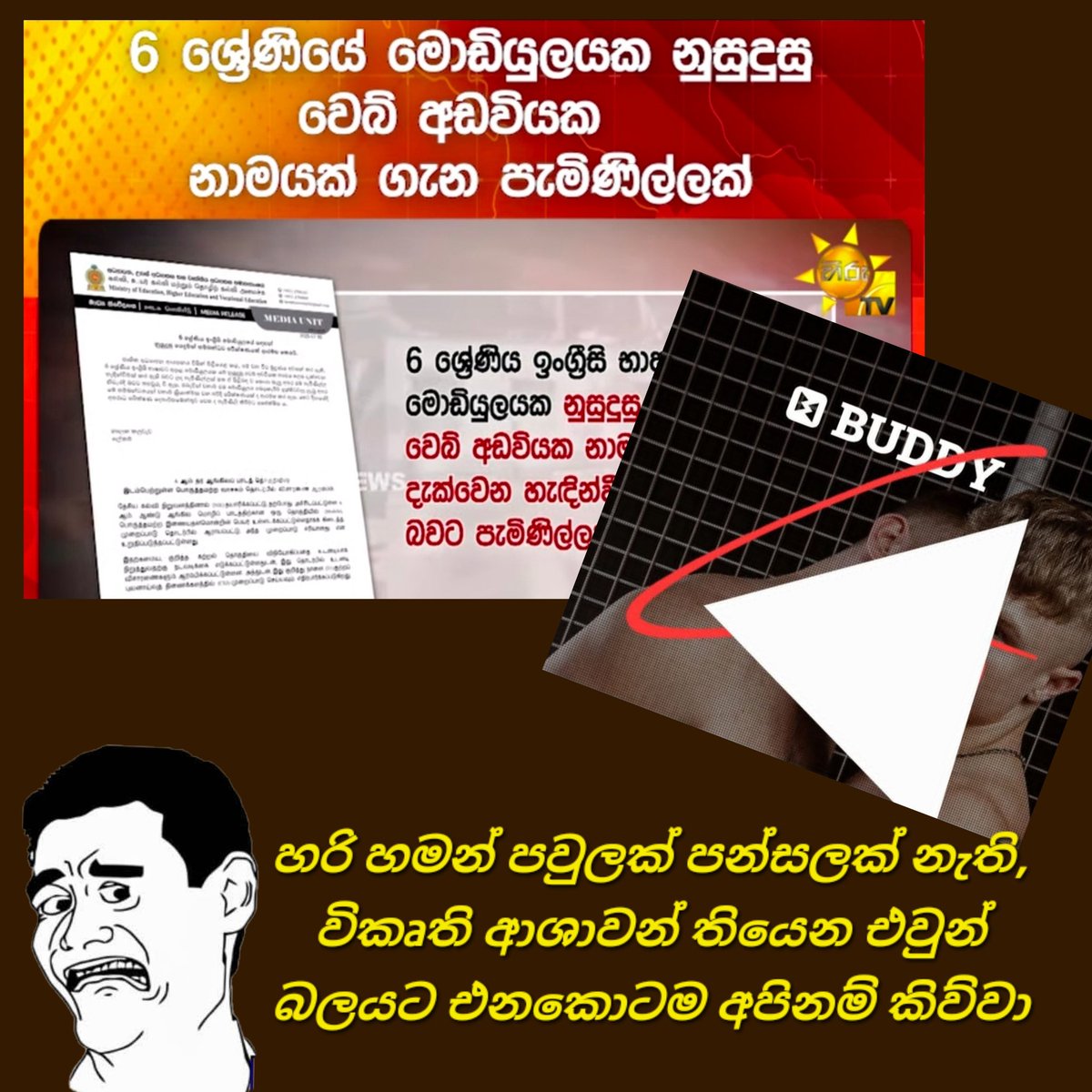 Madu Walige - මඩු වලිගෙ tweet media