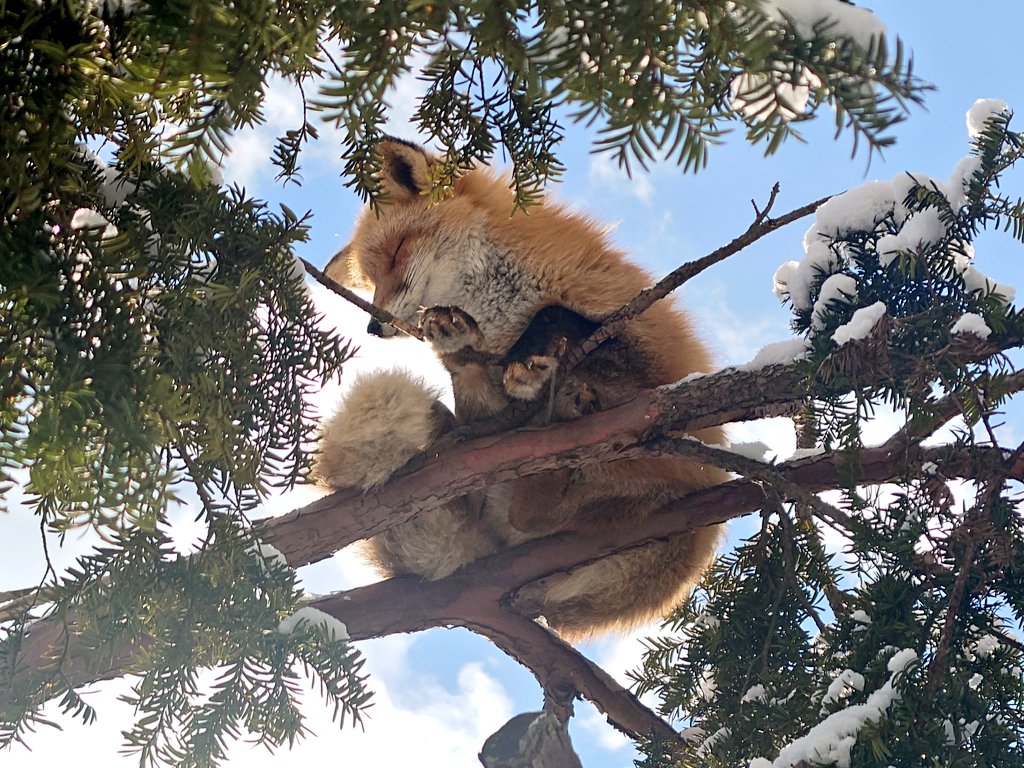 たぶんなんらかの啓示をくれる