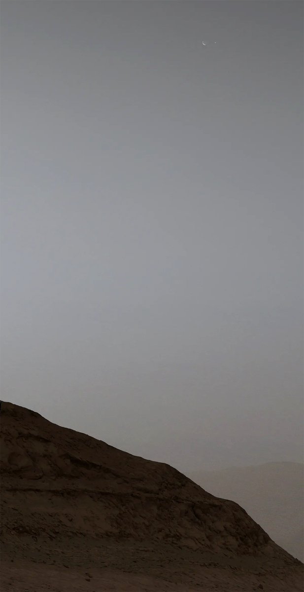 coreyspowell's tweet image. So cool. If you zoom in on the upper right, you see a little crescent. That's the Martian moon Phobos.

Zoom in again and you'll see a star next to Phobos. That's Earth!

Seen from Mars by NASA's Curiosity rover.

science.nasa.gov/photojournal/c…