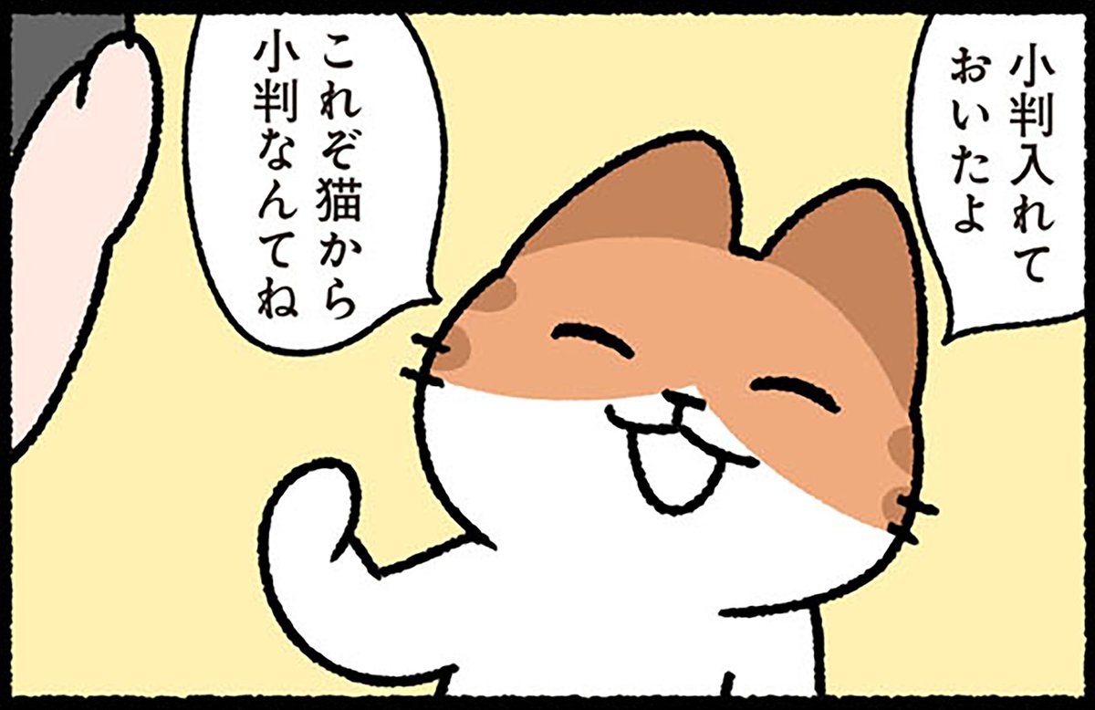 先生の『』では、猫と人間が一緒に年末年始を楽しんでいます。 皆様も