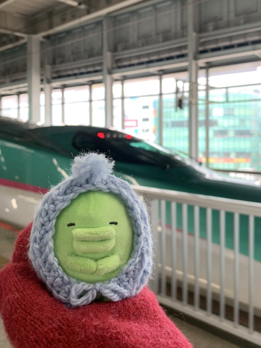 ほのほ tweet media