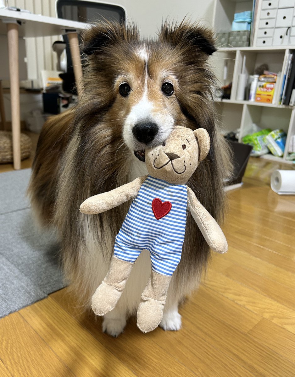 nevayama's tweet photo. 朝んぽの後は、みんなで大掃除頑張ってます https://t.co/jtMEiAXex6
