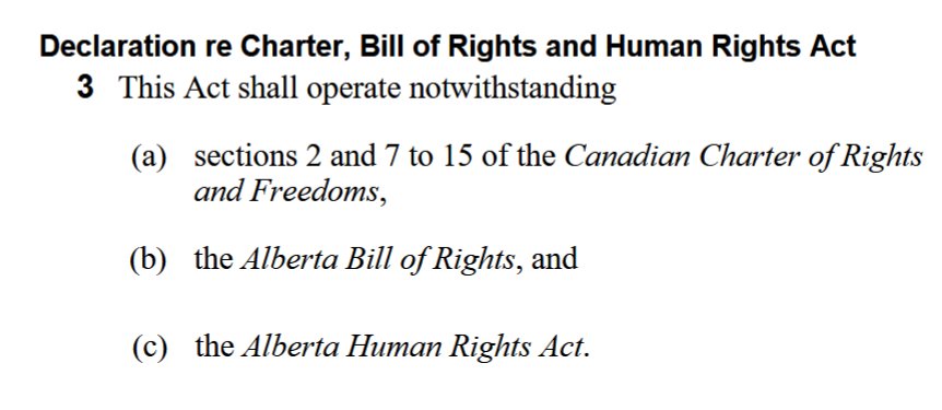 Greg Carabine tweet media