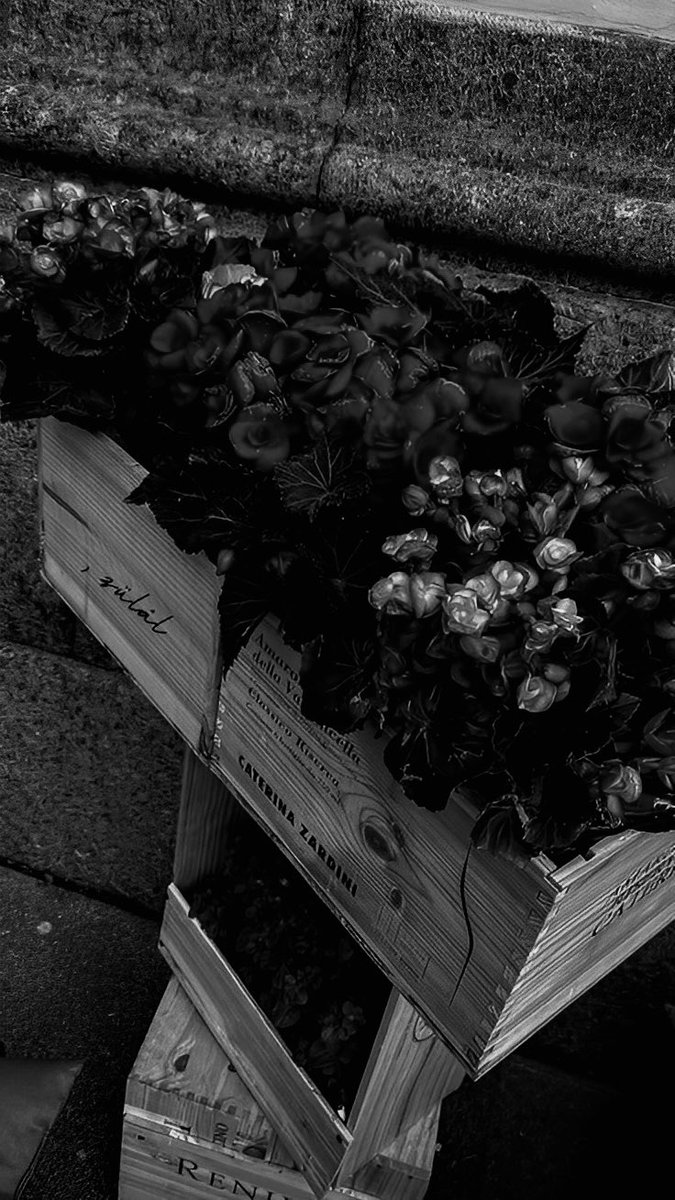 Juliette. tweet media