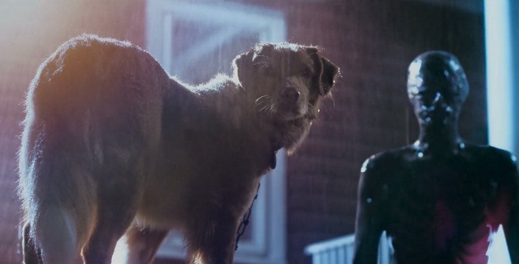 THEH0RRORKID's tweet image. “You’re a good dog, but you can’t save me.” 💔