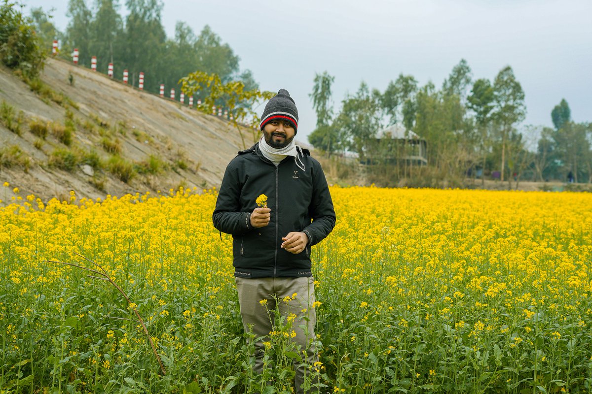 RayhanDroles's tweet image. সরিষা ক্ষেত থেকে বলছি .......😉