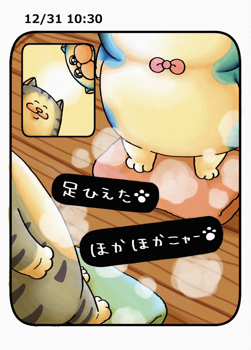 まめこ まめきちまめこ (@mamekichirou) / Posts / X