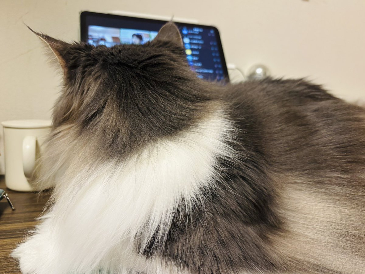 家教連|家庭科教育研究者連盟 tweet media