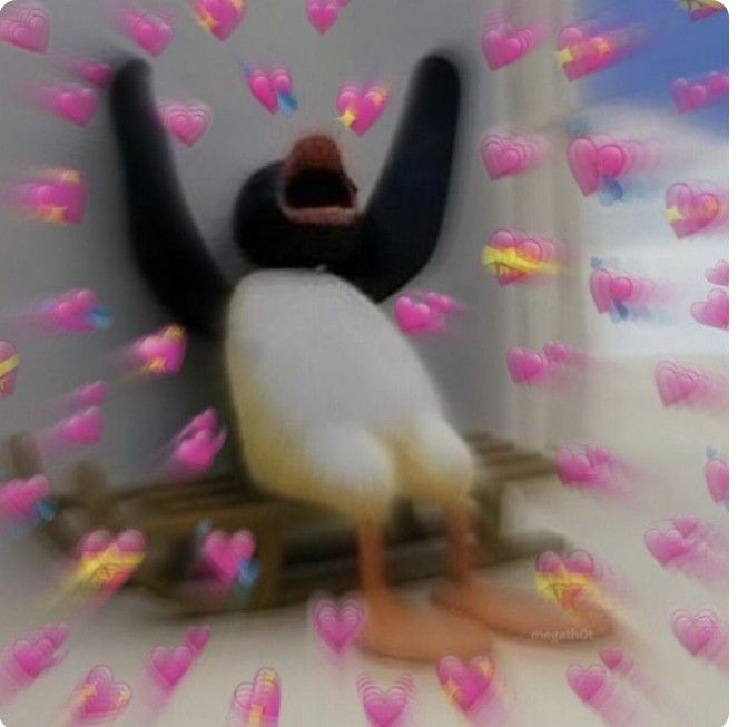 I just bought a new router for better internet for live streams and other shit to do finally! i dont need to worry about slow internet issue anymore and i couldnt be more happier than that! I'm looking forward to do more art and gaming lives on twitch on new year 2026!