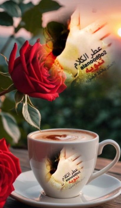 #صباحيات_عطر 

كل بسمه من طرف وجهك صباح 
وكل صبح دون وصلك ماكمل❤️.