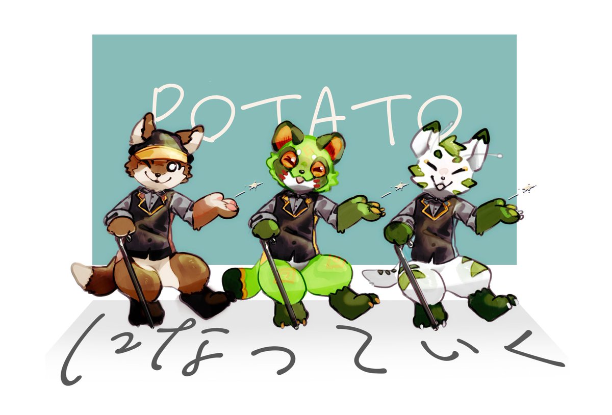 茶々丸 (@chachamaru_reef) / Posts / X